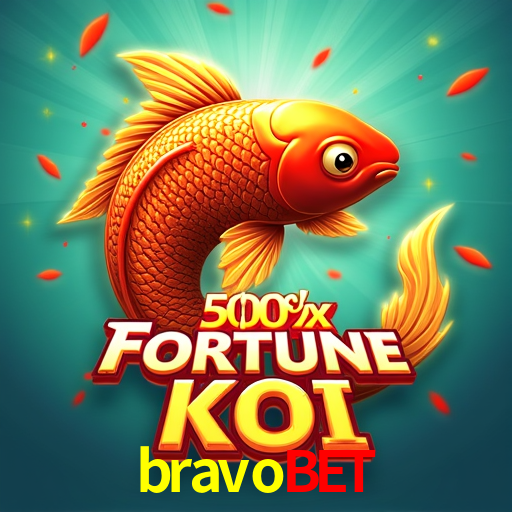 Security Systems bravobet